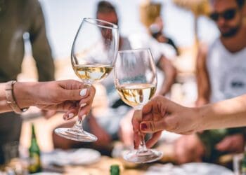 In its latest wine grape crop estimate, SAWIS warns that overall a smaller wine grape crop is anticipated. Photo: Supplied/Food For Mzansi