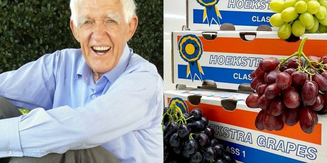 Aat Hoekstra, leading South African table grape grower from Paarl in the Cape, has died at the age of 91. Photo: Supplied/Food For Mzansi