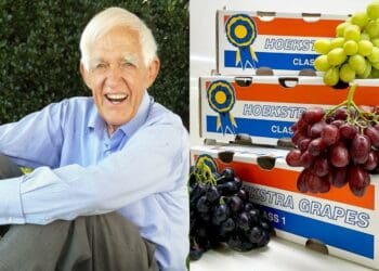 Aat Hoekstra, leading South African table grape grower from Paarl in the Cape, has died at the age of 91. Photo: Supplied/Food For Mzansi