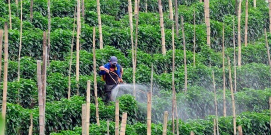 Kenyan smallholder farmers may not know how to properly protect themselves or their livestock from the dangers of not using agrochemicals correctly. Photo: Pixdomain/FoodForAfrika.co