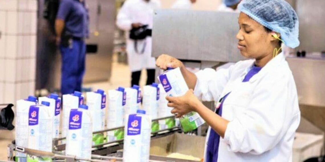 A Clover factory worker packaging and checking long-life milk at Clover's ultra-high temperature processing plant in Port Elizabeth. Photo: Clover
