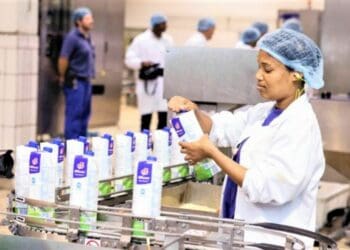 A Clover factory worker packaging and checking long-life milk at Clover's ultra-high temperature processing plant in Port Elizabeth. Photo: Clover