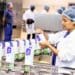 A Clover factory worker packaging and checking long-life milk at Clover's ultra-high temperature processing plant in Port Elizabeth. Photo: Clover