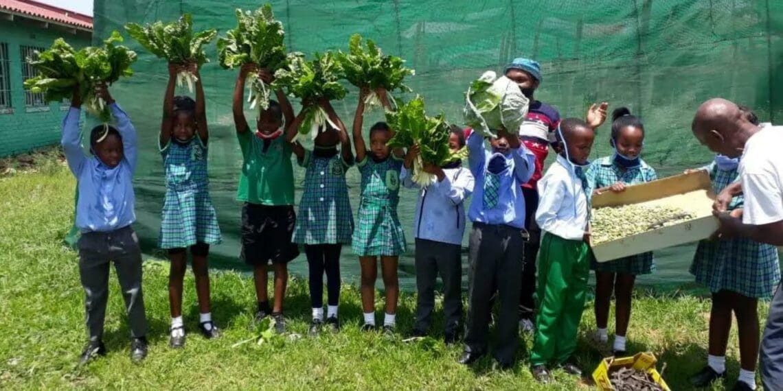 Through a series of workshops EduPlant is equipping children with the necessary resources and skills to put their farming skills into practice at school. Photo: Supplied/Food For Mzansi