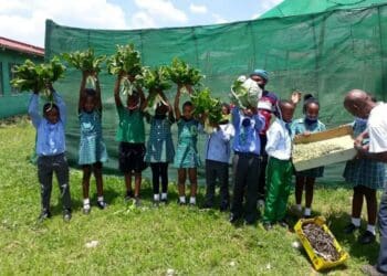 Through a series of workshops EduPlant is equipping children with the necessary resources and skills to put their farming skills into practice at school. Photo: Supplied/Food For Mzansi