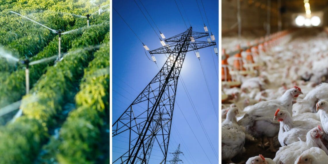 Load shedding: Farming operations under strain