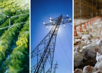 Load shedding: Farming operations under strain