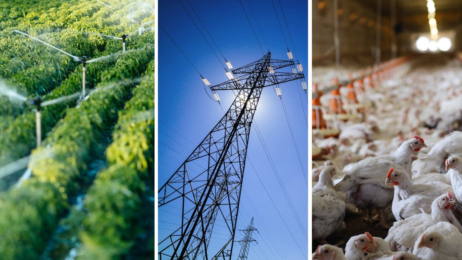Load shedding: Seeking solutions to save power - Vimarsana News
