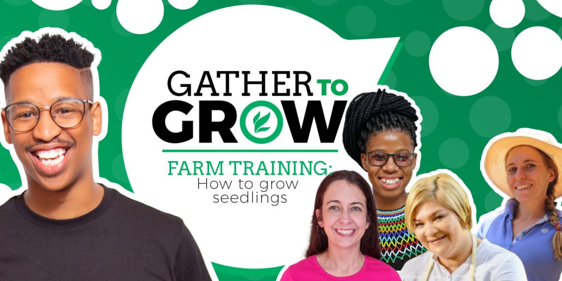 On a recent episode of our weekly Gather To Grow interactive discussion on Twitter, Food For Mzansi’s editor for audience and engagement, Dawn Noemdoe and head of news, Duncan Masiwa unpacked the topic of growing seedlings. Photo: Supplied/Food For Mzansi