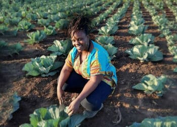 Yamkela Mboko (29) discovered the power of social media which, in turn, led her to crop farming. Photo: Supplied/Food For Mzansi