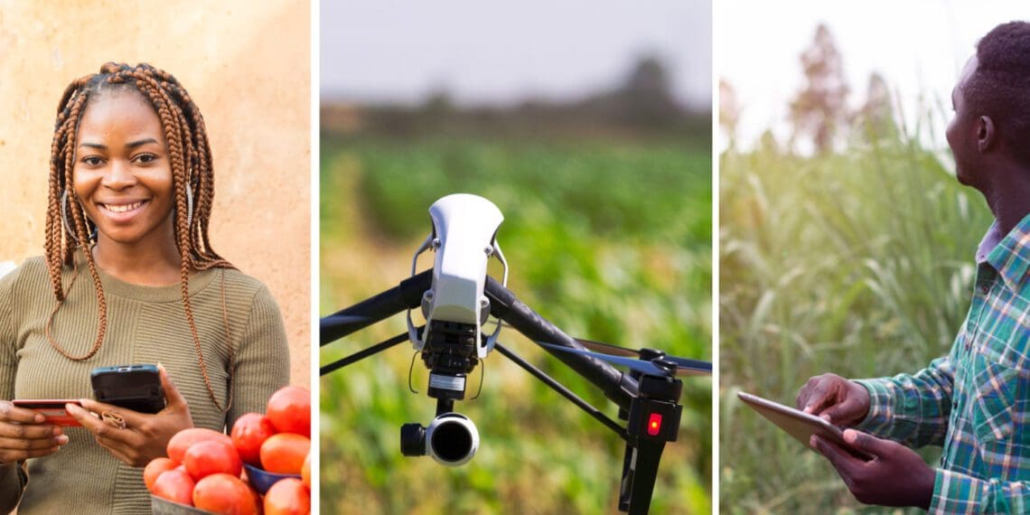 The agritech industry is booming and South African agriculturists are closely following international trends. Photos: Supplied/Food For Mzansi