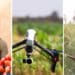 The agritech industry is booming and South African agriculturists are closely following international trends. Photos: Supplied/Food For Mzansi