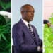 In an interview with Food For Mzansi, Gauteng agri MEC Parks Tau said support to small-scale farmers will be one of the top priorities of the coming year. Photos: Supplied/Food For Mzansi