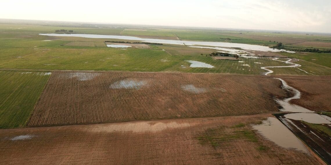 Farmers have taken all the precautions that can. Unfortunately there’s nothing else that they can do to save their crops. Photo: Supplied/Jakkals Le Roux