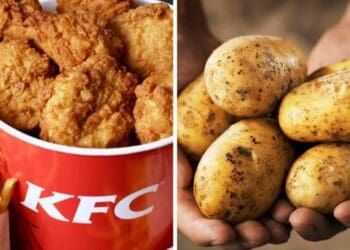 Kenyans are up in arms after Kenya refused to use potatoes from any local producers amid nationwide chips shortage at its branches. Photo: Supplied/Food For Afrika.com