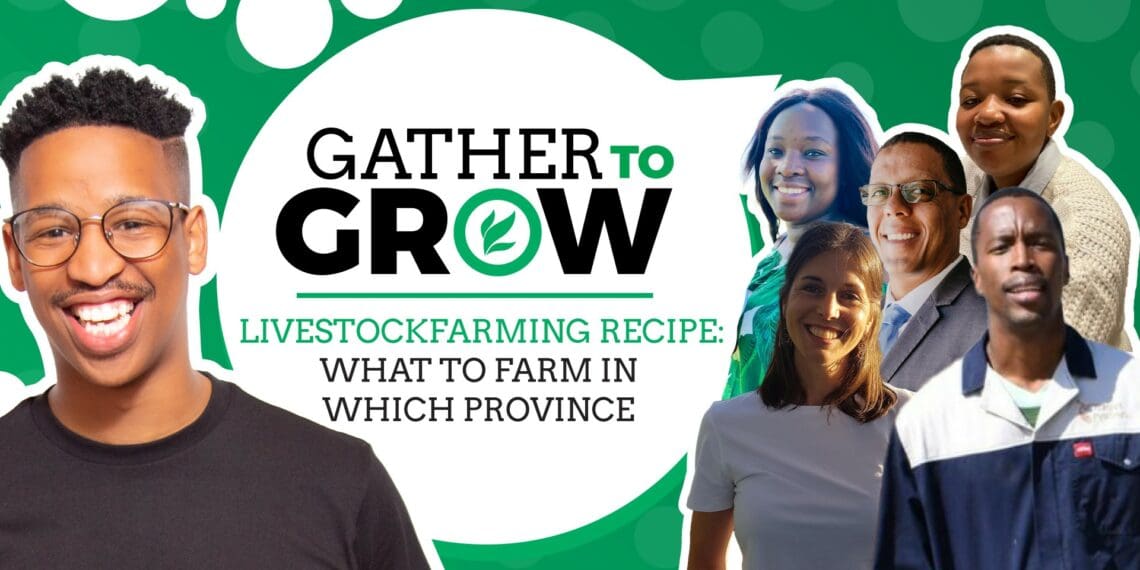 This week's #GatherToGrow features five livestock farming experts who unpack livestock farming and what to farm where. Photos: Supplied/Food for Mzansi