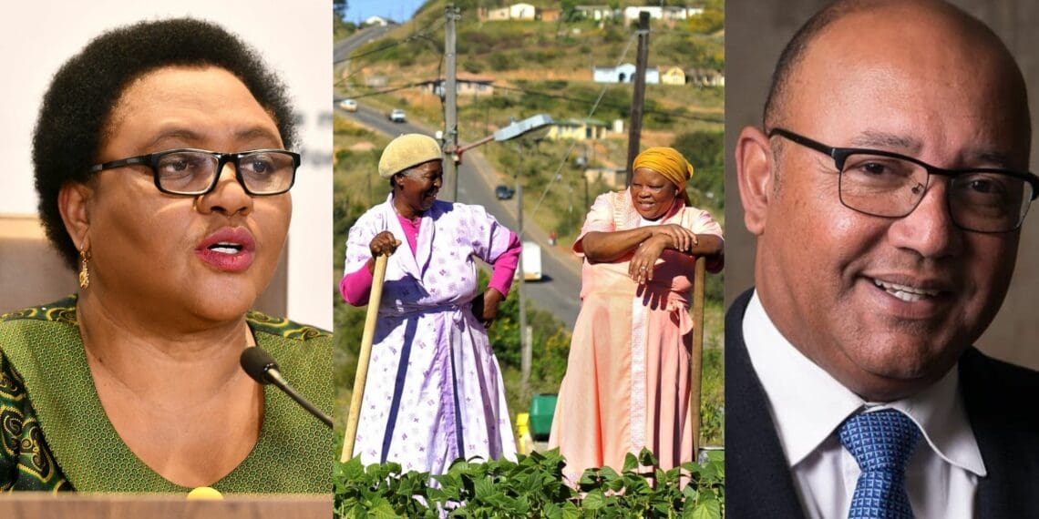 Mzansi’s susbsistence producers and agricultural community had a surprise response to agricultural minister Thoko Didiza suspending the PESI programme. Photo: Supplied/Food For Mzansi