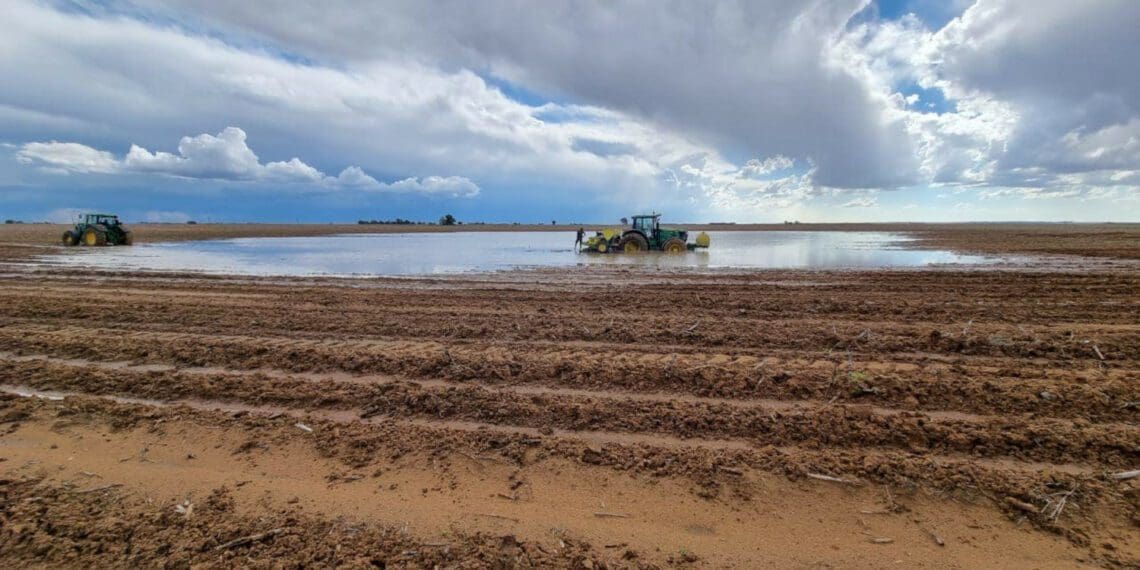 Optimism about good summer rains have made way for worry over too much water during planting season in parts of the Free State. Photo: Sonja Prinsloo/Facebook