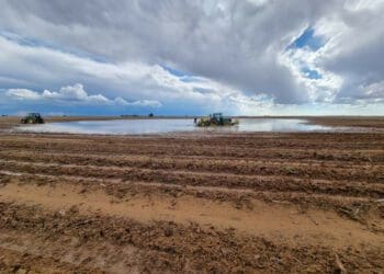 Optimism about good summer rains have made way for worry over too much water during planting season in parts of the Free State. Photo: Sonja Prinsloo/Facebook