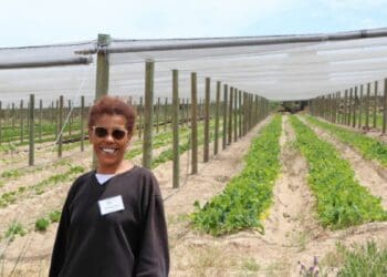Anastasia Smith, a vegetable farmer from Atlantis in the Western Cape. Photo: Nicole Ludolph/Food For Mzansi