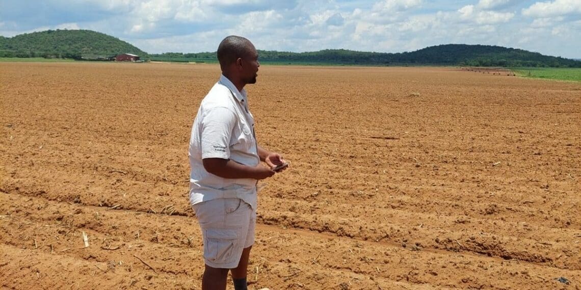 Sphamandla Sengwayo is an extension officer in the private sector with a heart for helping farmers. Photo: Supplied/Food For Mzansi