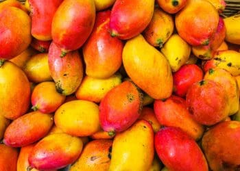 ICYMI: Mango volumes down, concerns about rainfall