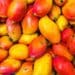 ICYMI: Mango volumes down, concerns about rainfall