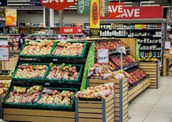 Agricultural economist Wandile Sihlobo co-authored a piece with agricultural economists Professor Edward Mabaya of Cornell University and Lulama Ndibongo Traub of Stellenbosch University on what it will take for Africa’s agrifood systems to thrive. Photo: Supplied/Pixabay