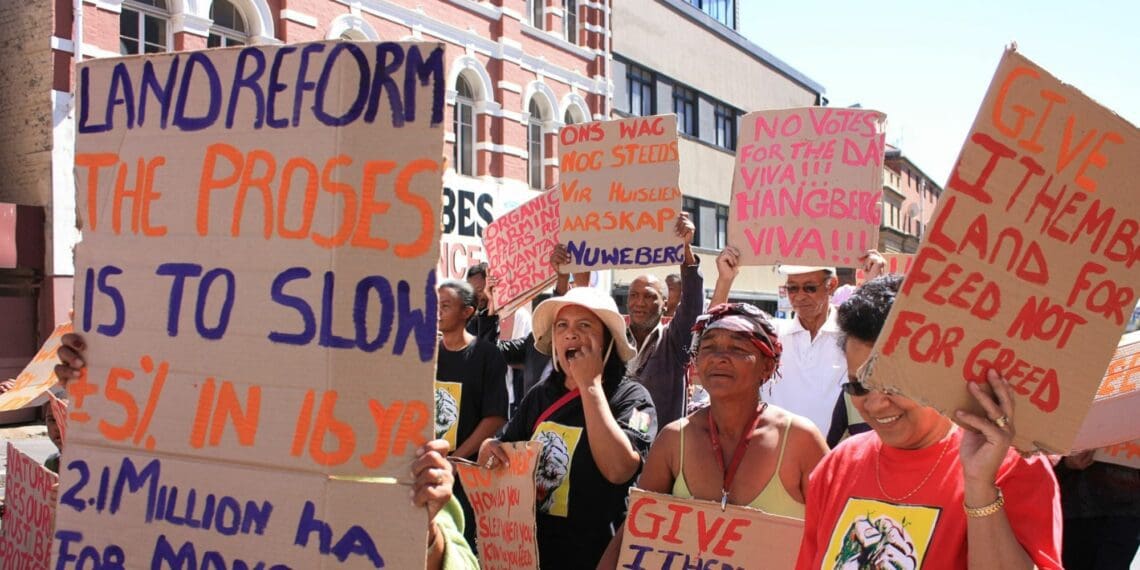 Mzansi’s land reform programme has been beset by myriad challenges, which have been echoed by the findings of a high-level panel report as well as the presidential advisory panel on land reform report. Photo: Supplied/Sandiso Phaliso/WCN