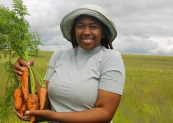 Konwaba Ntanga farms with vegetables outside KwaZulu-Natal’s KwaNdebele region. Photo: Magnificent Mndebele/Food For Mzansi