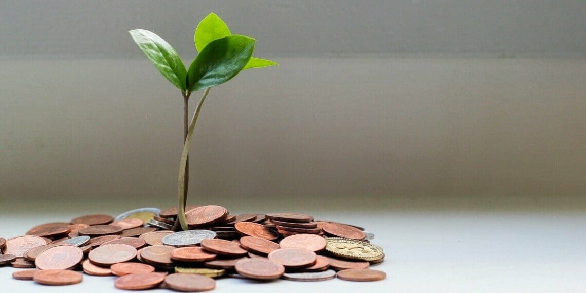 Farmers have multiple options when it comes to financing their dreams. Photo: Supplied/Food For Mzansi