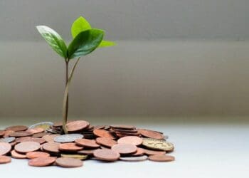 Farmers have multiple options when it comes to financing their dreams. Photo: Supplied/Food For Mzansi