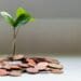 Farmers have multiple options when it comes to financing their dreams. Photo: Supplied/Food For Mzansi