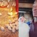 Malesela Molema is not only a rising TikTok star, but also a beginner chicken farmer with great potential. He farms in Nobody Thakgalang, a village in Polokwane, Limpopo. Photo: Supplied/Food For Mzansi