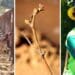 Mase Manopole (far right), the Northern Cape MEC for agriculture, environmental affairs, rural development and land reform, recently visited the Richtersveld Growers farm. Photos: Supplied/Food For Mzansi