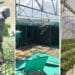Agricultural minister Thoko Didiza says that, while the agri-parks model has not taken root, they are working to reignite it once more. Photo: Supplied/Food For Mzansi