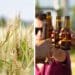 South Africa is celebrating Beer Day on 5 February this year, and are much more optimistic about the industry than it was in 2021. Photos: Supplied/Food For Mzansi