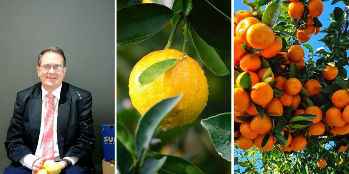Citrus Growers Association incoming Board Chairman, Hannes de Waal. Photo: Supplied/Food For Mzansi