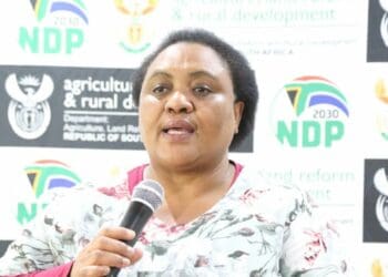 Agri scorecard: Didiza scores a decent 6 out of 10