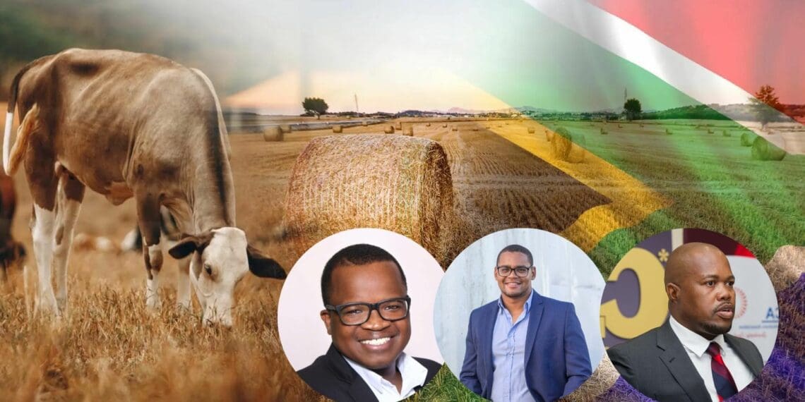 Farmers and agri leaders reflect on what Freedom Day means, 28 years after Mzansi's first democratic elections. Photos: Supplied/Food For Mzansi