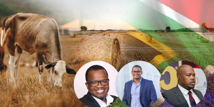 Freedom Day: Black farmers still fighting for a dream - Food For Mzansi