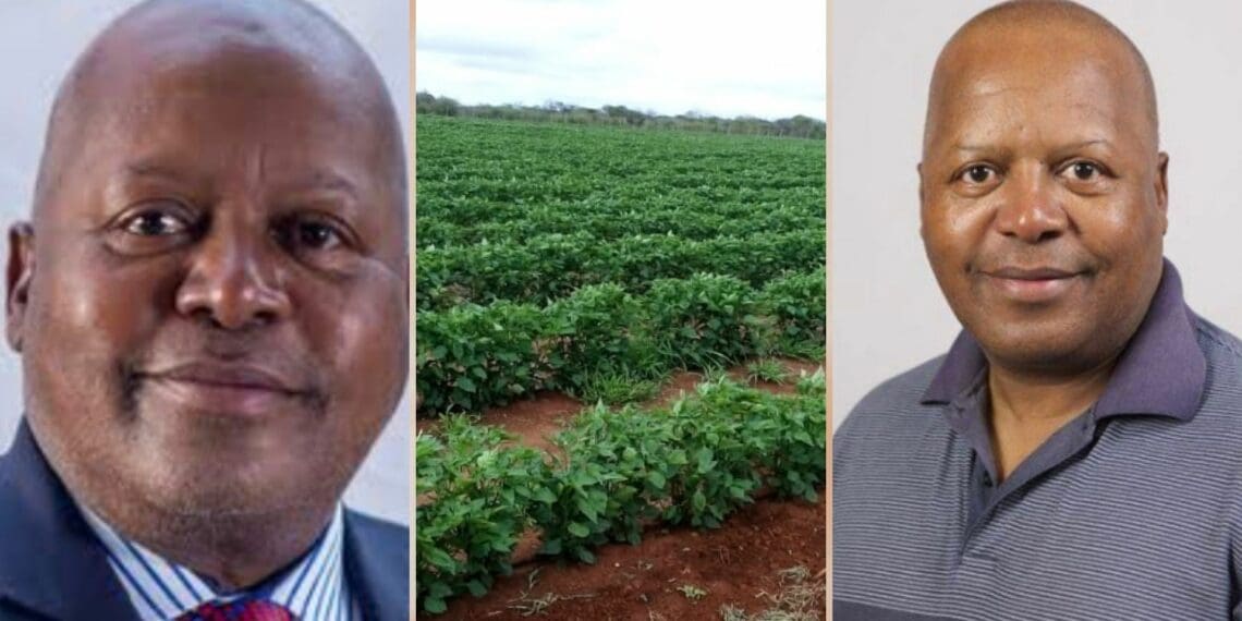 Newly elected National African Farmers Union provincial chairperson Jabu Mahlangu. Photos: Supplied/Food For Mzansi