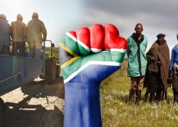 As South Africans commemorate Human Rights Day on 21 March, the focus has shifted to the grim realities agricultural workers in South Africa often have to grin and bear. Photo: Gareth Davies/Food For Mzansi