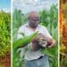 Development programmes should empower farmers to not merely be dependent on the next phase of state handouts, believes Free State farmer Phaladi Matsole. Photos: Supplied/Food For Mzansi
