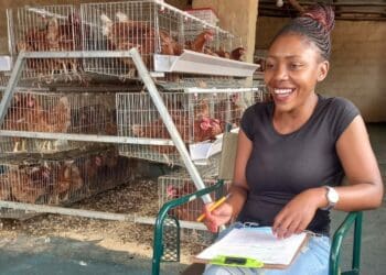 Mpumalanga farmer Lebogang Mashigo has seen many ups and downs since she first started Eggsellent in 2019. Photo: Supplied/Food For Mzansi