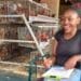 Mpumalanga farmer Lebogang Mashigo has seen many ups and downs since she first started Eggsellent in 2019. Photo: Supplied/Food For Mzansi