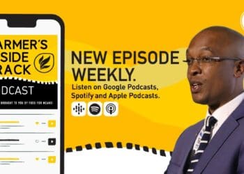 This week's podcast features, Parks Tau, MEC for the Gauteng department of economic development, environment, agriculture and rural development. Photo: Supplied/Food for Mzansi