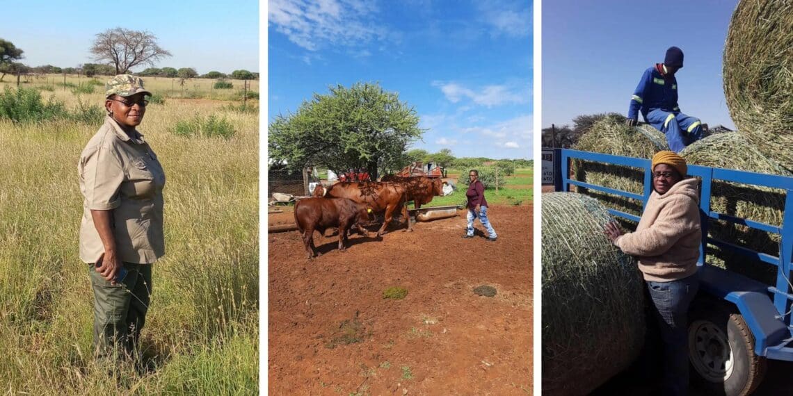 Award-winning Northern Cape farmer Maria Kantwan believes that young people should enjoy better support from government in ensuring that their business are sustainable. Photo: Supplied/Food For Mzansi