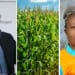 While government intends to prioritise investment in agricultural infrastructure and facilities, black grain farmers seek better support to accelerate their businesses. Photo: Supplied/Food For Mzansi