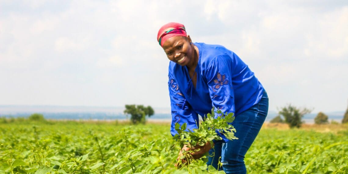 Farming trainer and mentor Portia Mahlobo, monitoring the progress of an award-winning farming cooperative called You Reap What You Sow in Mohlakeng, Randfontein. Photo: Magnificent Mndebele/Food For Mzansi